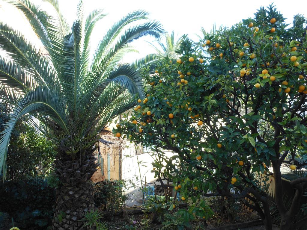 Hotel Villa Les Cygnes Nizza Kültér fotó